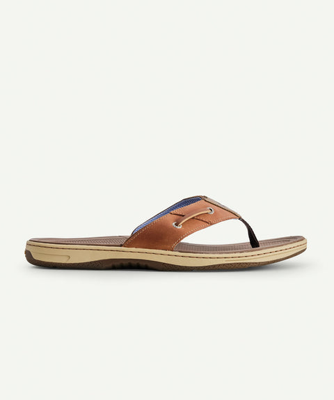 Sperry mens best sale flip flops